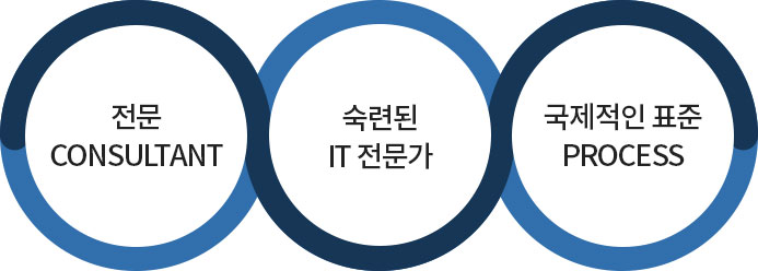 전문 CONSULTANT, 숙련된 IT 전문가, 국제적인 표준 PROCESS